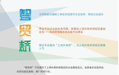 智貿(mào)橋 上線,外高橋智能服務(wù)平臺再添新翼