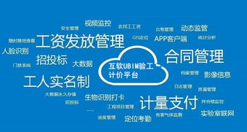 上海互聯網軟件集團 高端協同管理軟件與企業管理咨詢服務提供商